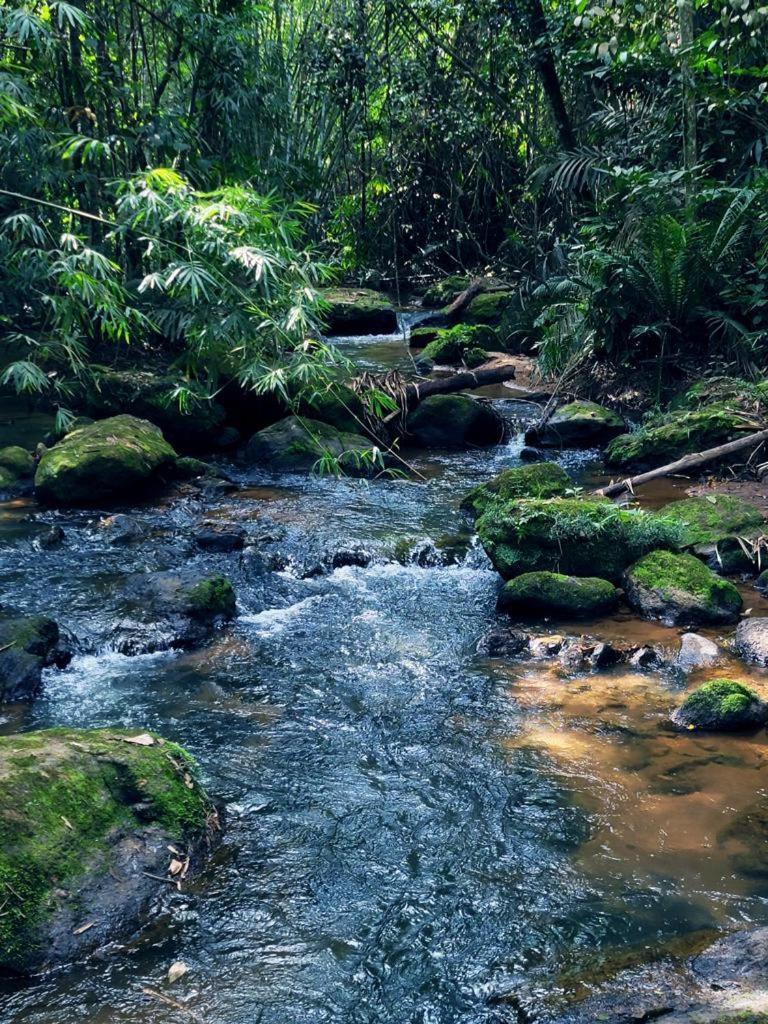 Pousada Sitio Das Pedras Domingos Martins Kültér fotó